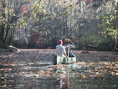 Congaree National Park.